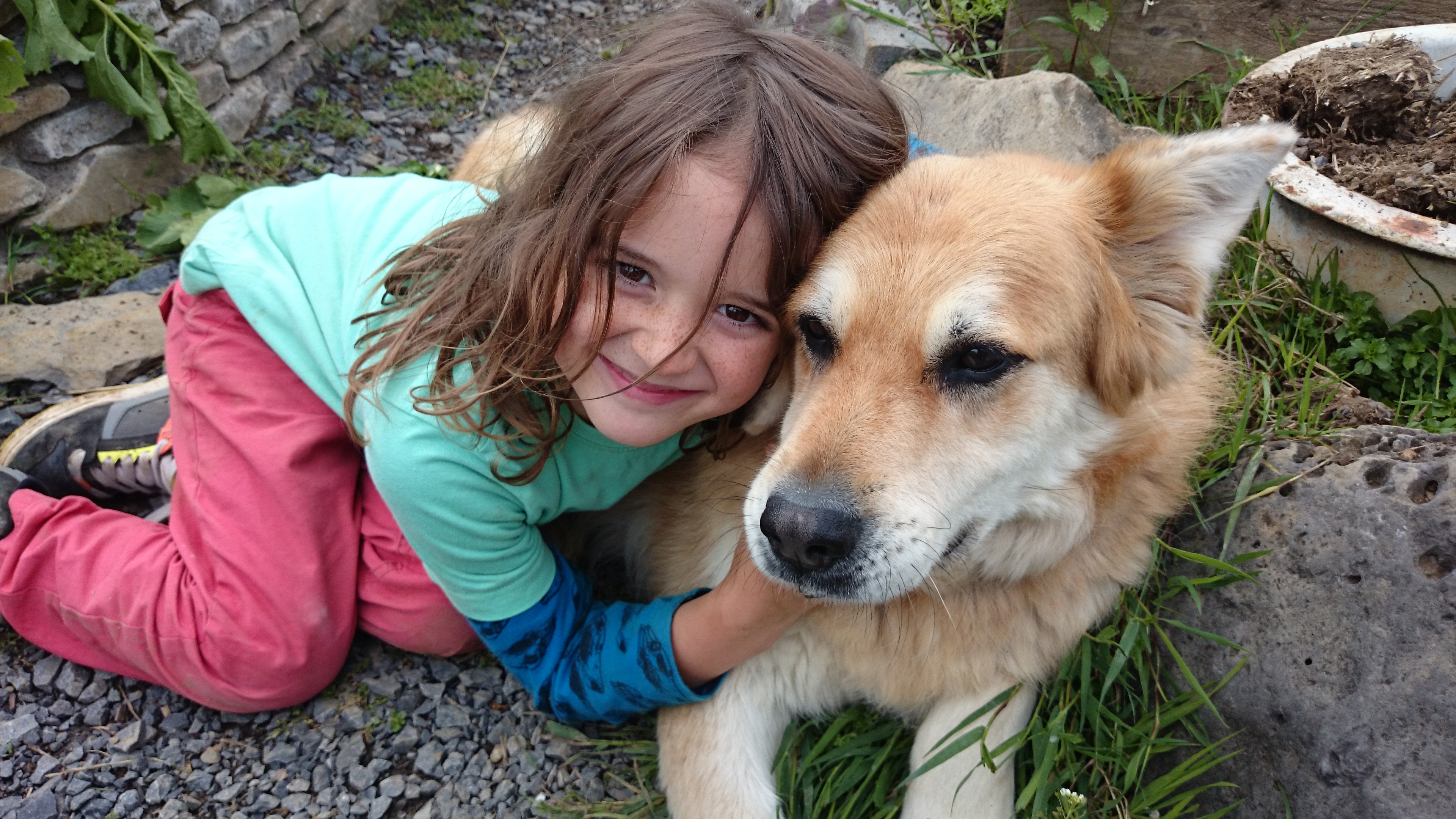 hazel and daithi